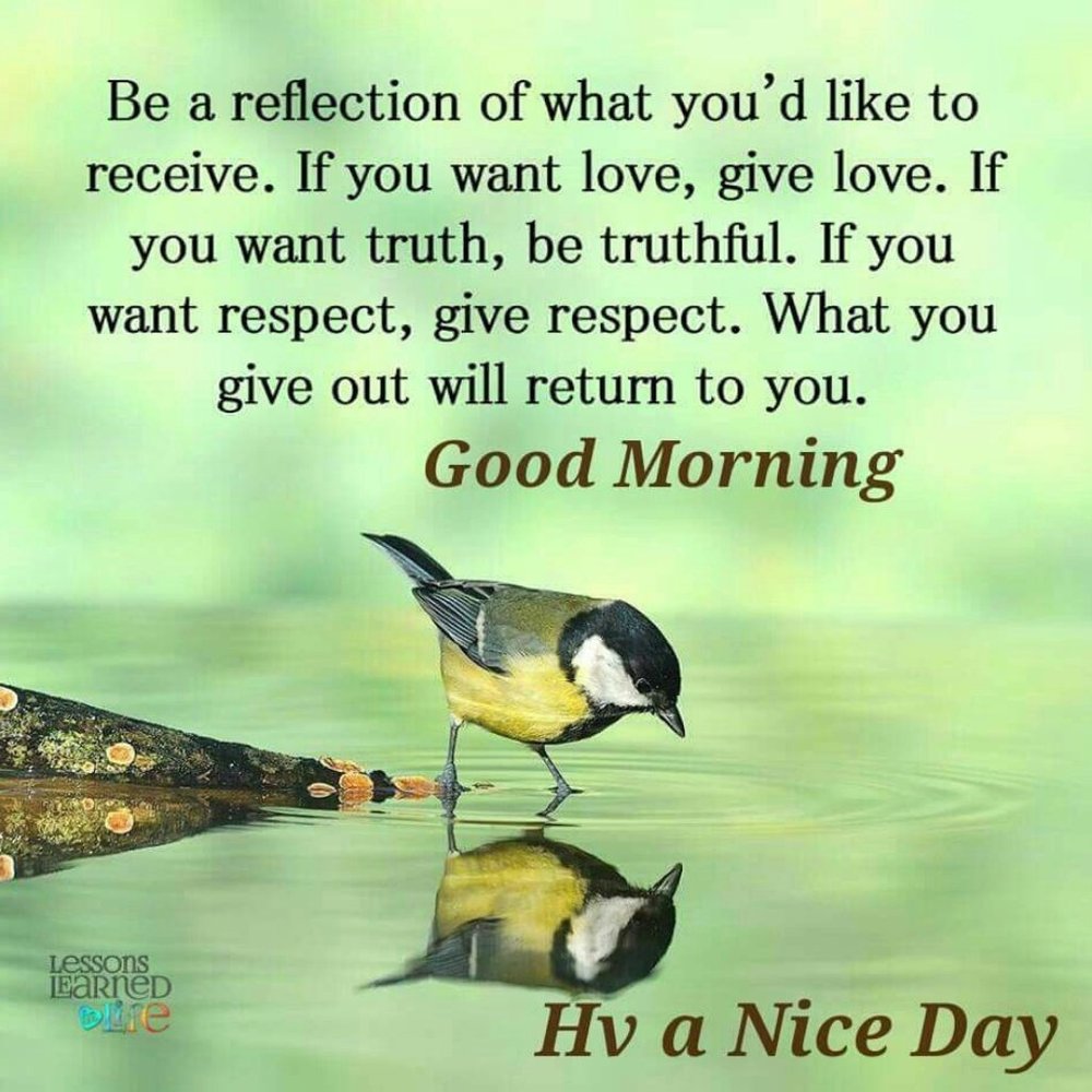 Follow Me to 250k! Thank You for Your Support! - Picture 7 of 12